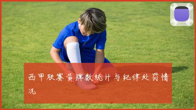 西甲联赛黄牌数统计与纪律处罚情况