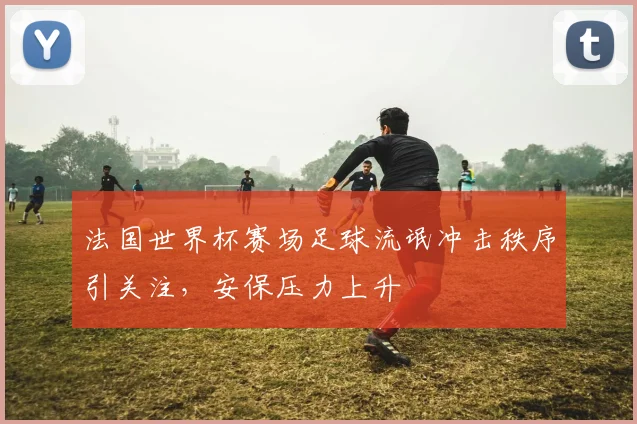 法国世界杯赛场足球流氓冲击秩序引关注，安保压力上升