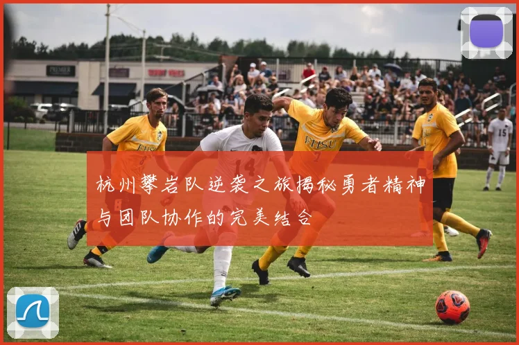 杭州攀岩队逆袭之旅揭秘勇者精神与团队协作的完美结合