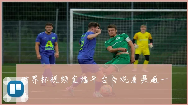 世界杯视频直播平台与观看渠道一览