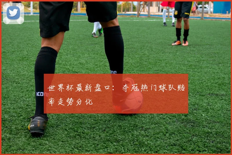 世界杯最新盘口:夺冠热门球队赔率走势分化