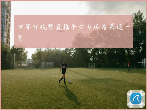 世界杯视频直播平台与观看渠道一览