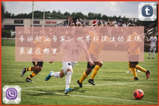 专访行业专家:世界杯投注的正规渠道在哪里?
