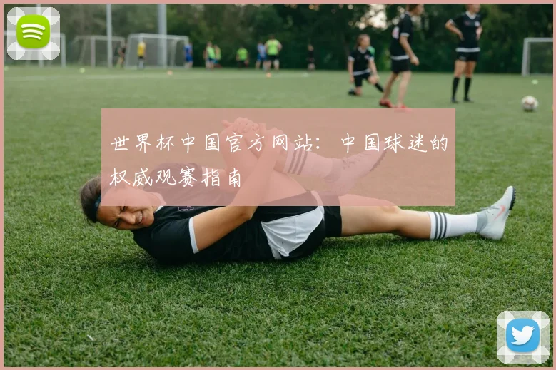 世界杯中国官方网站：中国球迷的权威观赛指南