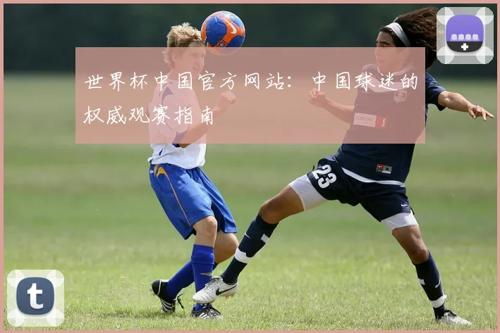 世界杯中国官方网站：中国球迷的权威观赛指南