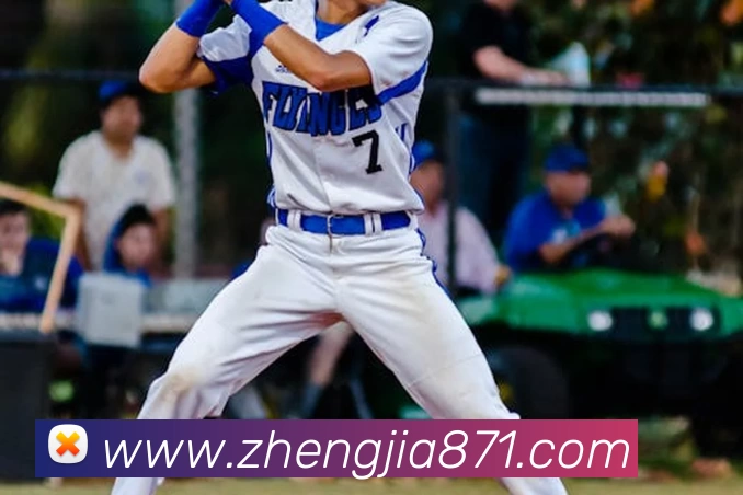 湖人大战掘金今日焦点在线直播全程高清流畅观赛权威解读指南全面